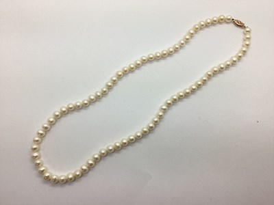 Lot 63 - A Single Strand Freshwater Pearl Bead Necklace,...