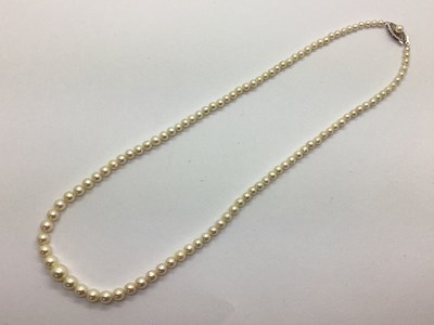 Lot 66 - A Single Strand Pearl Bead Necklace, of...