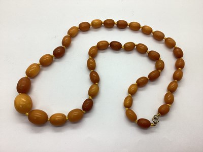 Lot 169 - A Long Graduated Single Strand Amber Coloured...