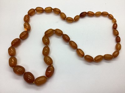 Lot 170 - A Long Graduated Single Strand Amber Coloured...