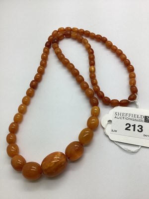 Lot 213 - A Single Strand Graduated Amber Colour Bead...