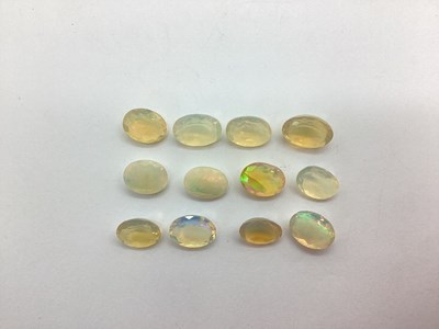 Lot 190 - Unmounted Opals. (12)