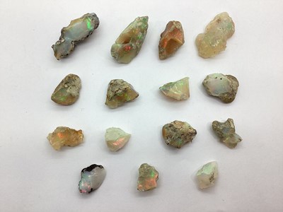 Lot 213 - Eight Unmounted Rough Opal in Matrix Specimens,...