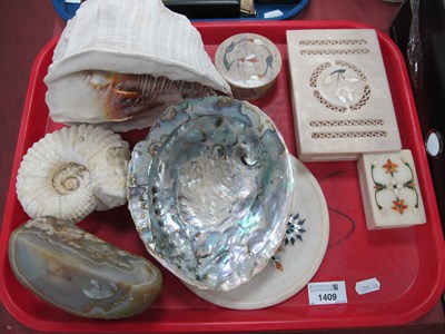 Lot 1409 - Conch and Othe Sea Shells, mineral paperweight,...